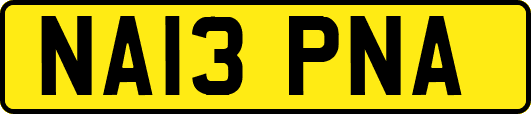 NA13PNA