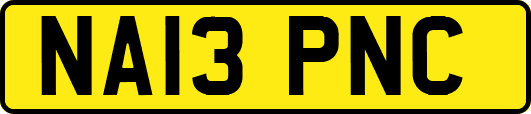 NA13PNC