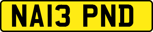NA13PND