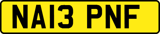 NA13PNF
