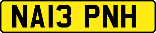 NA13PNH