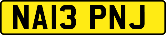 NA13PNJ