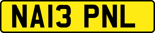 NA13PNL