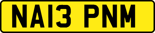 NA13PNM