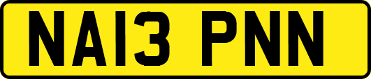 NA13PNN