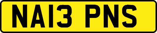 NA13PNS