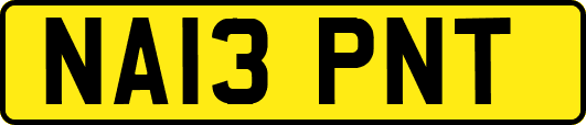 NA13PNT