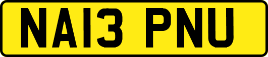 NA13PNU