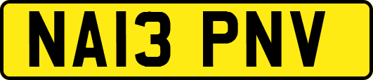 NA13PNV