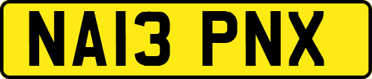 NA13PNX