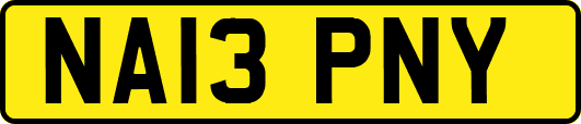 NA13PNY