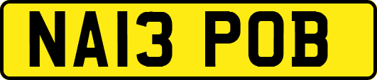 NA13POB