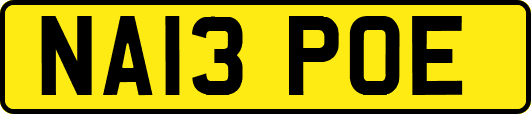 NA13POE