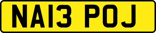 NA13POJ