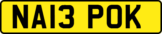 NA13POK
