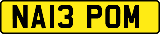 NA13POM