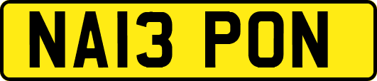 NA13PON