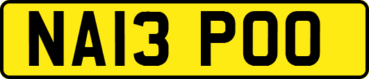 NA13POO