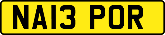 NA13POR
