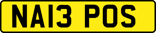 NA13POS