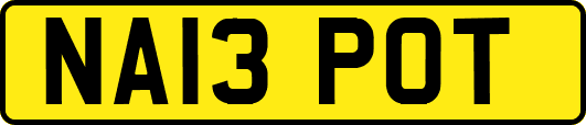 NA13POT