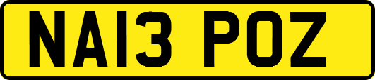 NA13POZ
