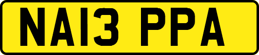 NA13PPA
