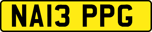 NA13PPG