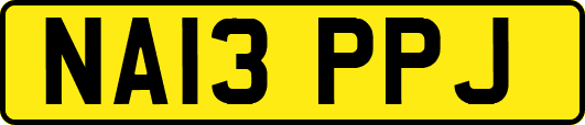 NA13PPJ