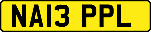NA13PPL