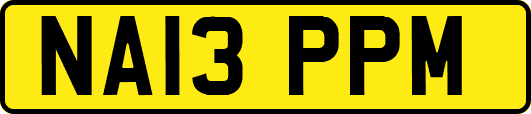NA13PPM