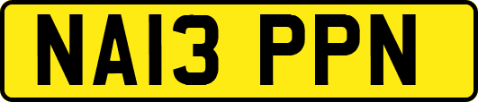 NA13PPN