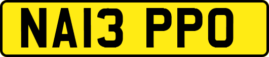 NA13PPO