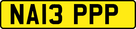 NA13PPP