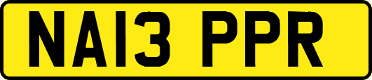 NA13PPR