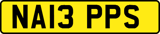 NA13PPS