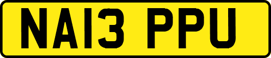 NA13PPU