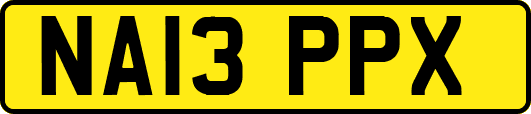 NA13PPX