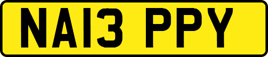 NA13PPY