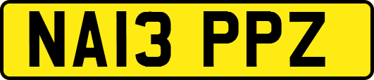 NA13PPZ