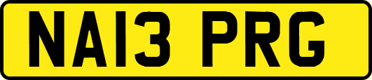 NA13PRG