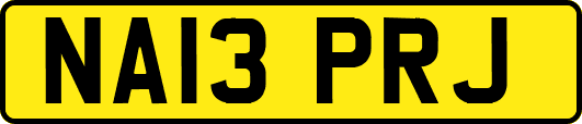 NA13PRJ