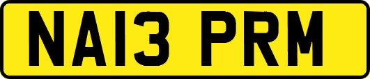 NA13PRM