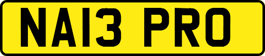 NA13PRO