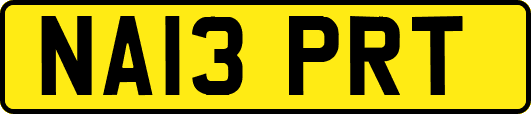 NA13PRT