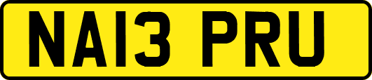 NA13PRU