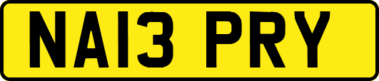 NA13PRY