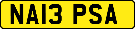 NA13PSA