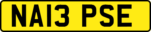 NA13PSE