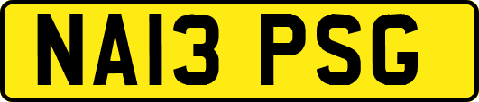 NA13PSG